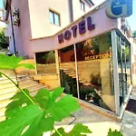 Hotel Family Art Gallery Plewen